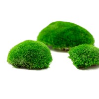 PHOCEALYS│Mousse boule stabilisée│vente aux pros│Grossiste