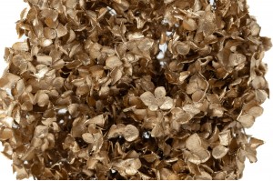 Hortensia stabilisé│vente aux pros│Grossiste en végétaux stabilisées