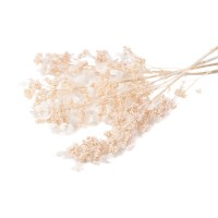 Hortensia stabilisé│vente aux pros│Grossiste en végétaux stabilisées