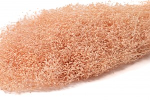 PHOCEALYS │Gypsophile stabilisé│vente aux pros│Grossiste