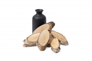 Tranches de bois de bouleau  │vente aux pros│Grossiste en fleurs séchées