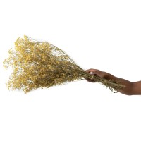 Gypsophile stabilisé│vente aux pros│Grossiste en végétaux stabilisés