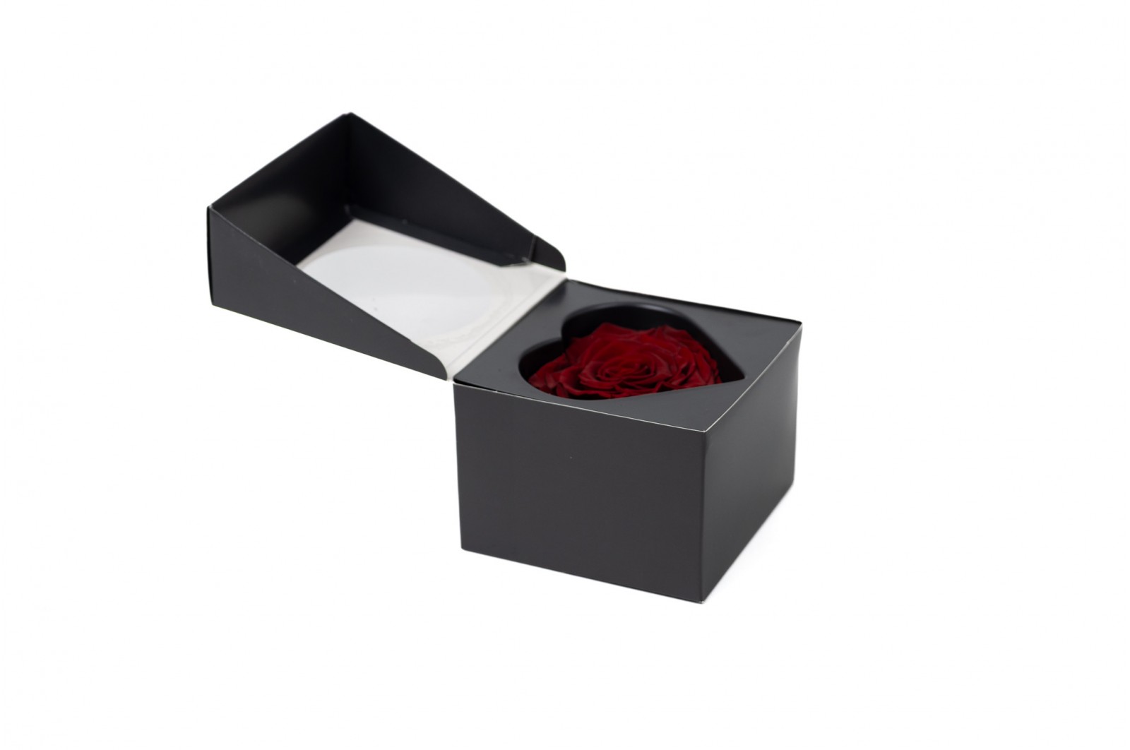 PHOCEALYS │Têtes de roses stabilisées  │vente aux pros│Grossiste