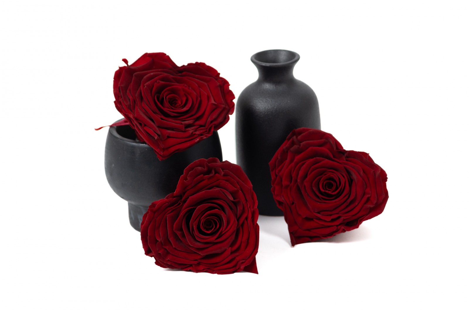 PHOCEALYS │Têtes de roses stabilisées  │vente aux pros│Grossiste