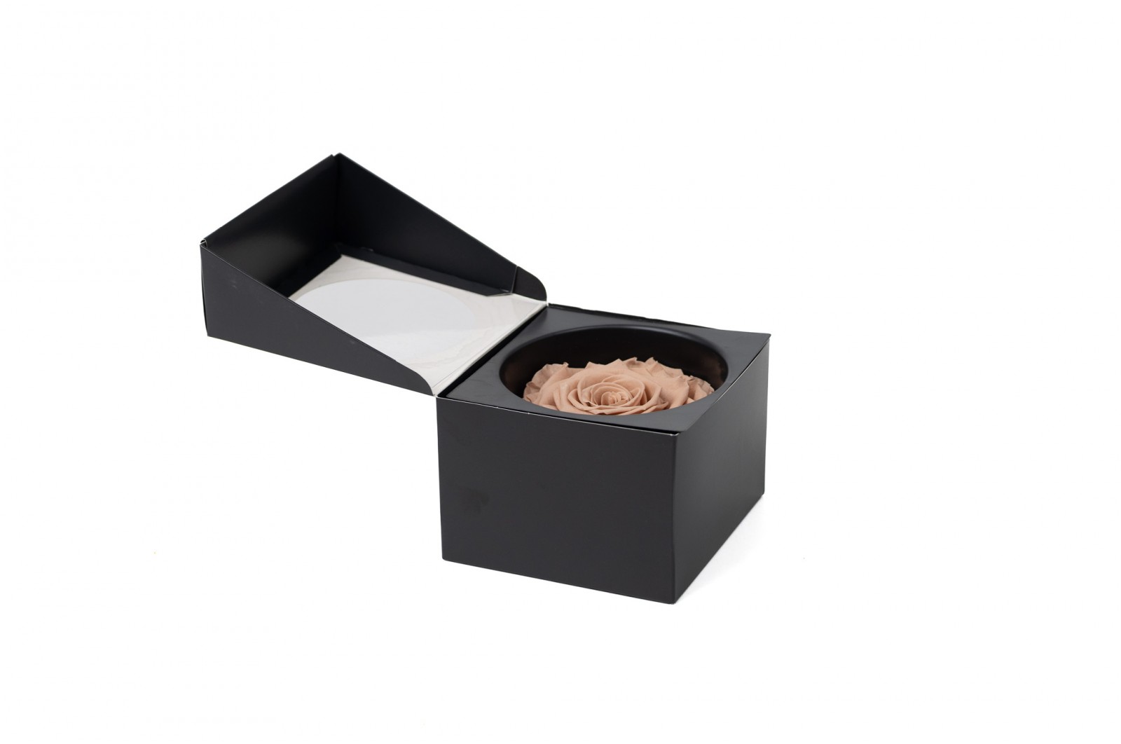 PHOCEALYS │Têtes de roses stabilisées  │vente aux pros│Grossiste