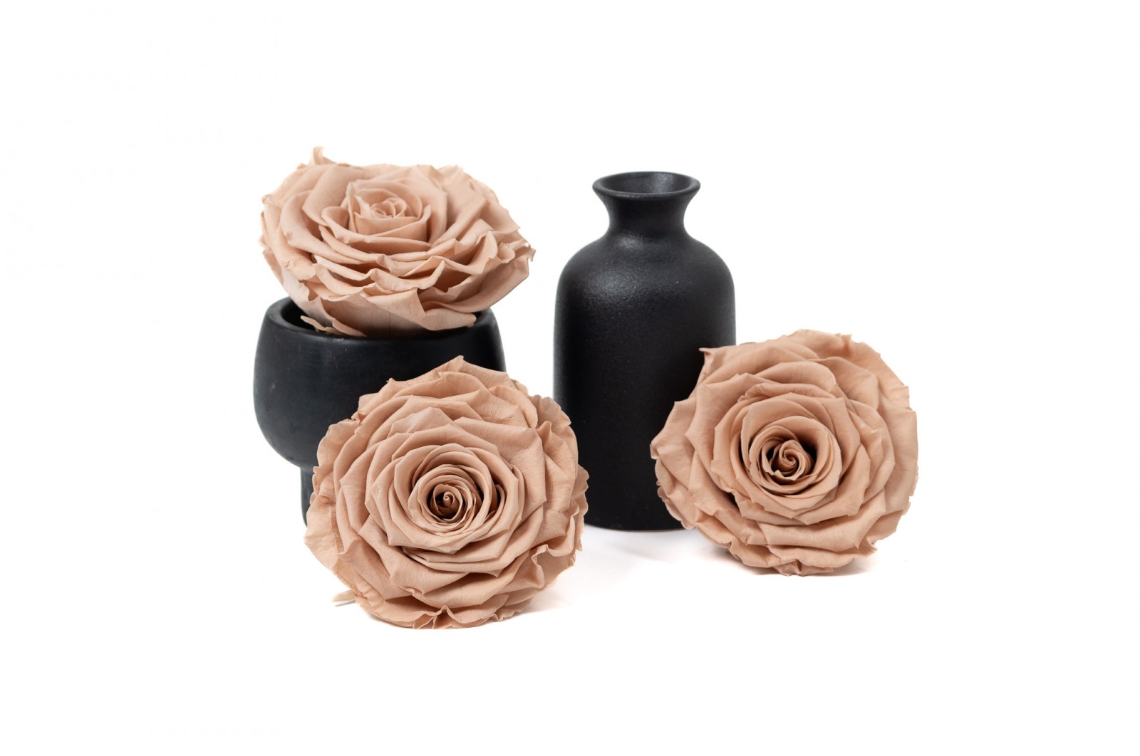 PHOCEALYS │Têtes de roses stabilisées  │vente aux pros│Grossiste