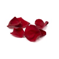 PHOCEALYS│Pétales de rose stabilisées│vente aux pros│Grossiste