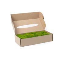 PHOCEALYS│Mousse de Provence stabilisée│vente aux pros│Grossiste