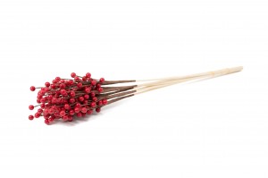 PHOCEALYS│Tige de baies rouges │vente aux pros│Grossiste