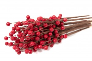 PHOCEALYS│Tige de baies rouges │vente aux pros│Grossiste