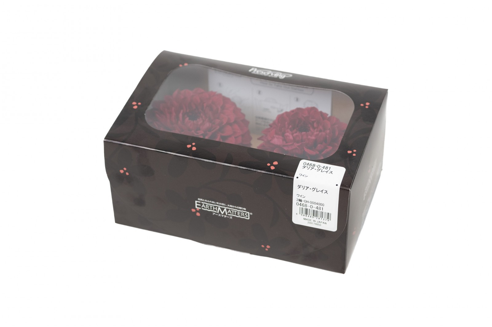 PHOCEALYS│Dahlia stabilisé│vente aux pros│Grossiste