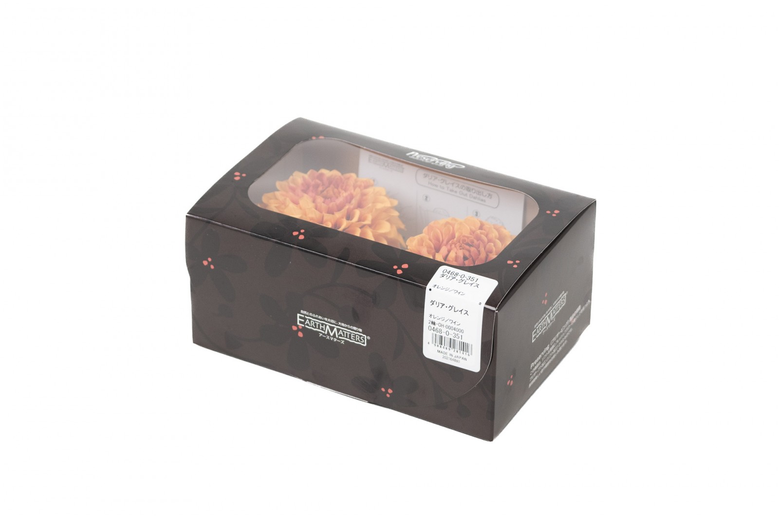 PHOCEALYS│Dahlia stabilisé│vente aux pros│Grossiste
