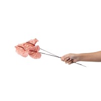 PHOCEALYS│Anthurium stabilisé│vente aux pros│Grossiste