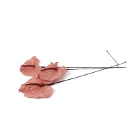 PHOCEALYS│Anthurium stabilisé│vente aux pros│Grossiste