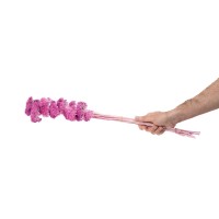 PHOCEALYS│Achillée filipendula stabilisée│vente aux pros│Grossiste