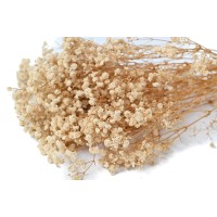 Gypsophile boule stabilisé│vente aux pros│Grossiste