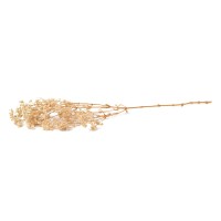Gypsophile boule stabilisé│vente aux pros│Grossiste