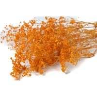 Gypsophile boule stabilisé│vente aux pros│Grossiste