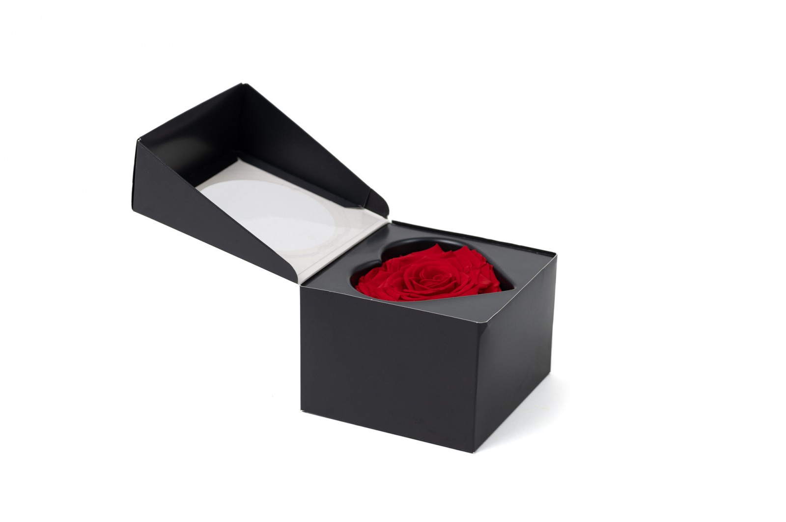 PHOCEALYS │Têtes de roses stabilisées  │vente aux pros│Grossiste