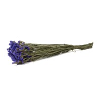 Statice sinuata│vente aux pros│Grossiste en fleurs séchées