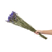 Statice sinuata│vente aux pros│Grossiste en fleurs séchées