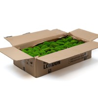 PHOCEALYS│Mousse boule stabilisée carton vrac│vente aux pros│Grossiste