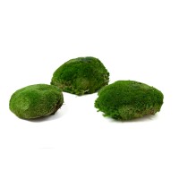 PHOCEALYS│Mousse boule stabilisée grand diamètre│vente aux pros│Grossiste
