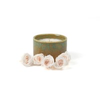 Rose Vivian stabilisée│vente aux pros│Grossiste en végétaux stabilisées