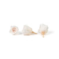 Rose Vivian stabilisée│vente aux pros│Grossiste en végétaux stabilisées