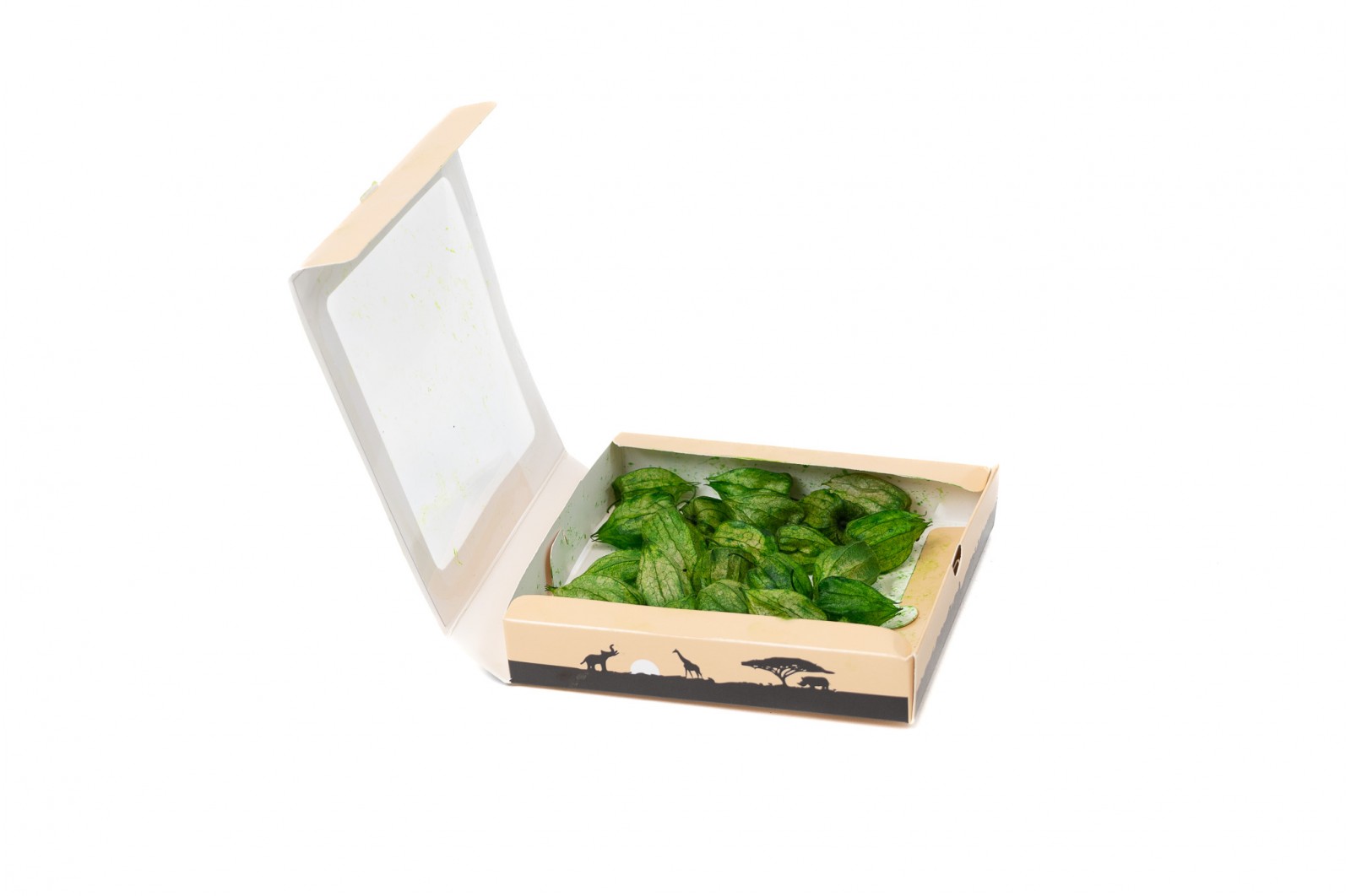 PHOCEALYS│Physalis stabilisé│vente aux pros│Grossiste