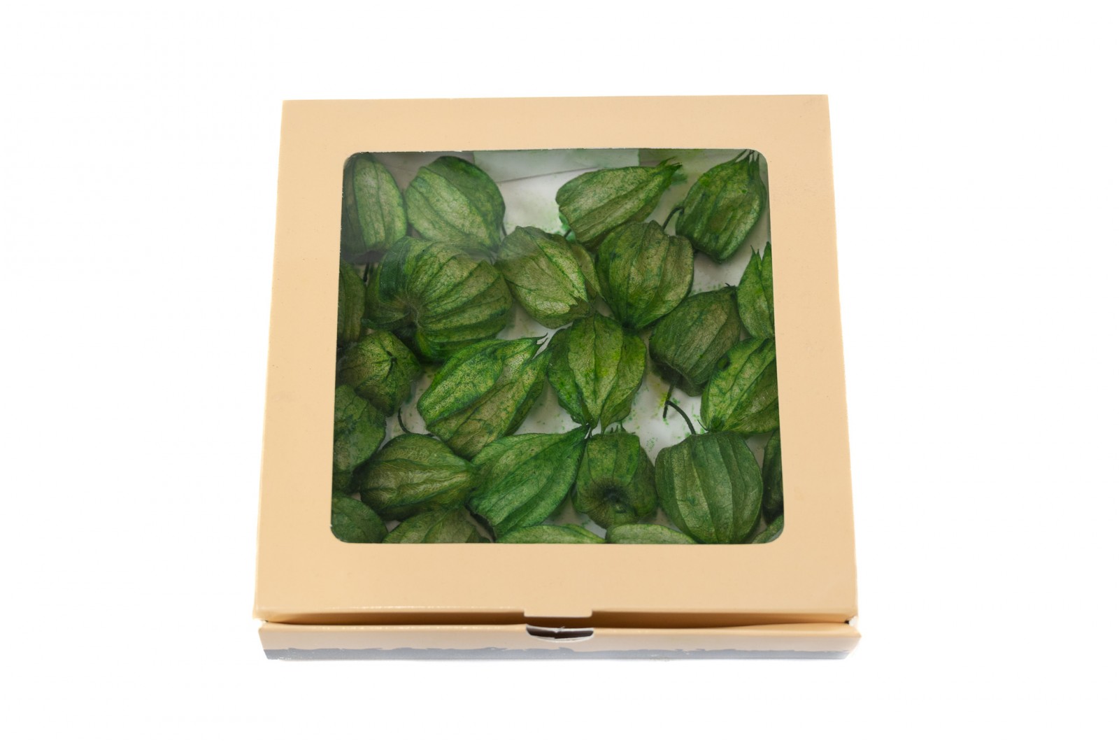 PHOCEALYS│Physalis stabilisé│vente aux pros│Grossiste
