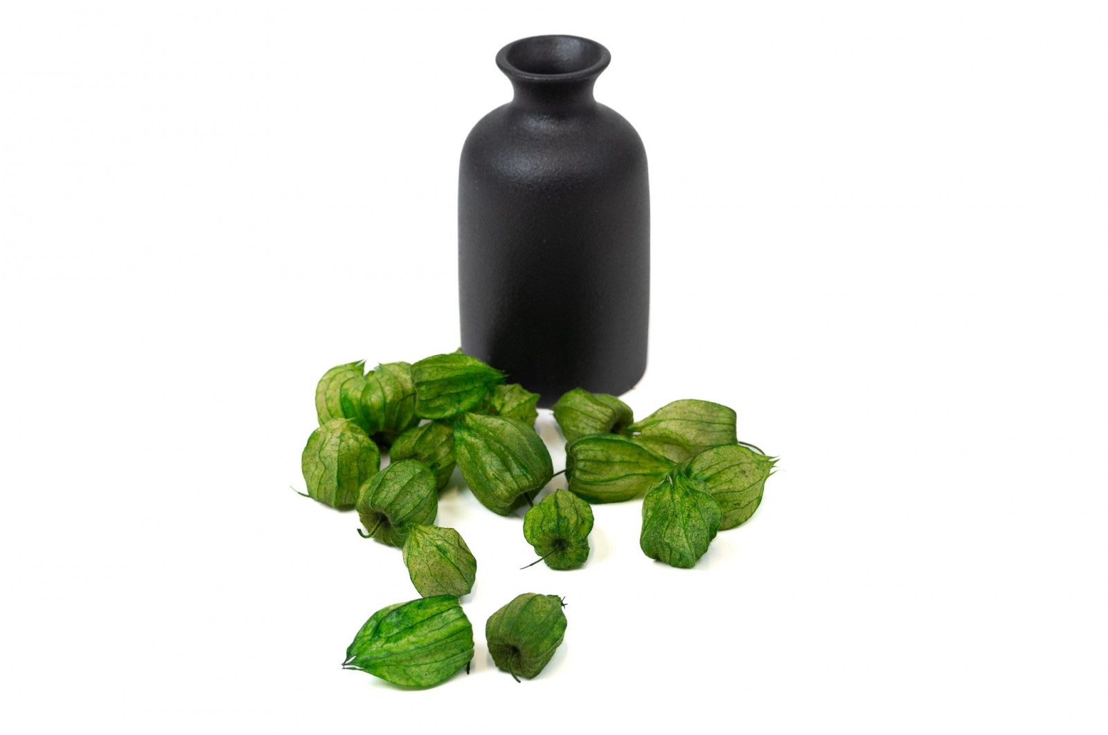 PHOCEALYS│Physalis stabilisé│vente aux pros│Grossiste