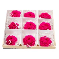 PHOCEALYS│Dahlia stabilisé│vente aux pros│Grossiste
