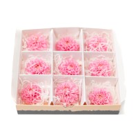 PHOCEALYS│Dahlia stabilisé│vente aux pros│Grossiste