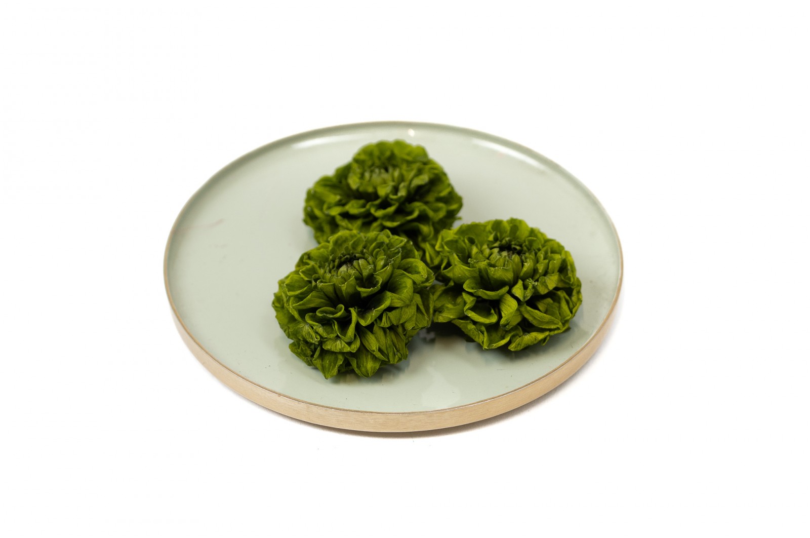 PHOCEALYS│Dahlia stabilisé│vente aux pros│Grossiste