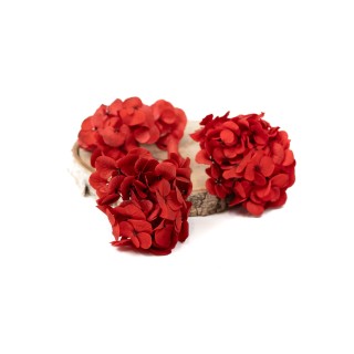 PHOCEALYS │Preserved sprig hydrangea│Sale to pros│Wholesaler