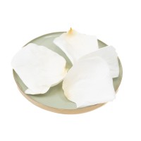 PHOCEALYS│Pétales de rose stabilisées│vente aux pros│Grossiste