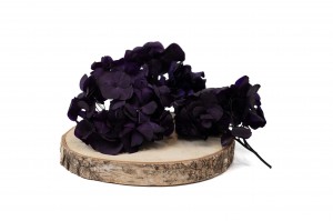 PHOCEALYS │Hortensia stabilisé en branches│vente aux pros│Grossiste
