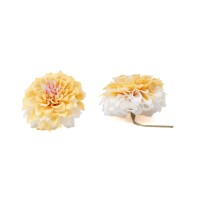 PHOCEALYS│Dahlia stabilisé│vente aux pros│Grossiste