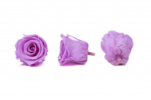 PHOCEALYS │Têtes de roses Kiara stabilisées L │vente aux pros│Grossiste