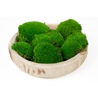 PHOCEALYS│Mousse boule stabilisée carton vrac│vente aux pros│Grossiste