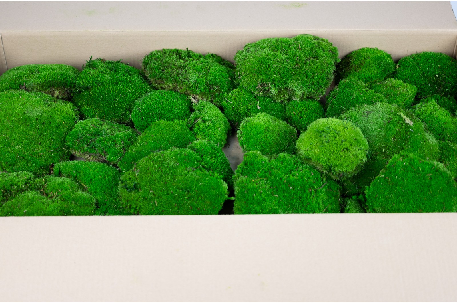 PHOCEALYS│Mousse boule stabilisée carton vrac│vente aux pros│Grossiste