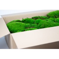 PHOCEALYS│Mousse boule stabilisée carton vrac│vente aux pros│Grossiste
