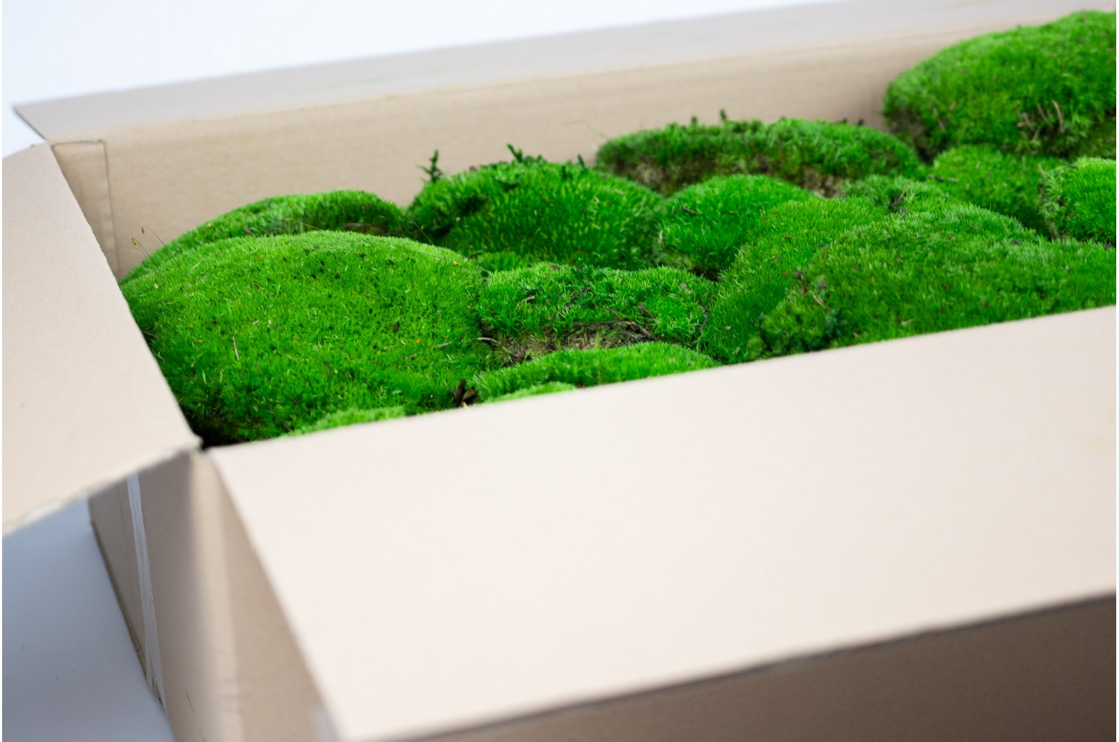 PHOCEALYS│Mousse boule stabilisée carton vrac│vente aux pros│Grossiste