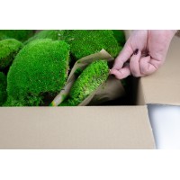 PHOCEALYS│Mousse boule stabilisée carton vrac│vente aux pros│Grossiste