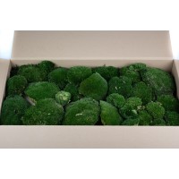 PHOCEALYS│Mousse boule stabilisée carton vrac│vente aux pros│Grossiste