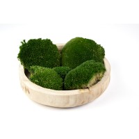 PHOCEALYS│Mousse boule stabilisée carton vrac│vente aux pros│Grossiste