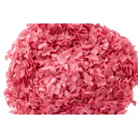 Hortensia Anna stabilisé│vente aux pros│Grossiste en végétaux stabilisées