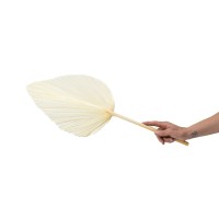 PHOCEALYS │Grande Palme sèche│vente aux pros│Grossiste en fleurs séchées