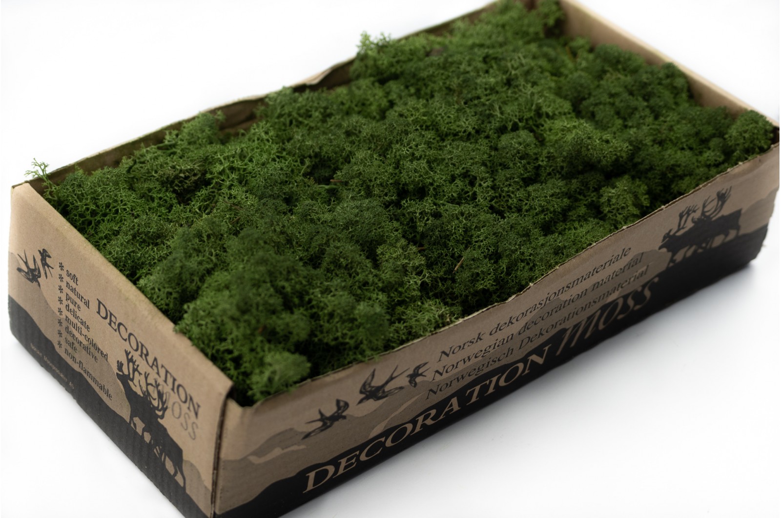 PHOCEALYS │Lichen stabilisé 500g│vente aux pros│Grossiste